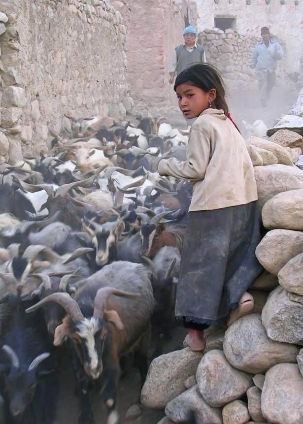 <p>Günümüz Pakistan’ında Müslüman kadınların başı açık gezmeleri mümkün değil. Gerçekte yakın çevreden kız aldıklarına da bakılırsa bütün bu iddialar Avrupalı kökenli olduklarını vurgulamak için ortaya atılmış olmalı.</p>