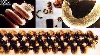 <p><strong>Kusursuz spiraller</strong></p>
<p>Alışıldık olmayan bu spiral cisimler 1991 - 1993 yılları arasında Rusya'daki Ural dağlarının doğusunda bulunan küçük bir dere olaran Narada 'da bulunmuşlardır.</p>
<p>Boyları en fazla 3 cm. olan bu cisimlerden (inanılmaz ama) 0,003 mm. olanlarıda bulunmuştur. Büyük olanları bakırdan , küçük ve çok küçük olanları ise çok ender rastlanan "tungsten" ve "molybdenum" maddelerinden yapılmıştır.</p>
<p>Mikroskopla yapılan incelemeler sonucunda spiraller kusursuz bir biçimde "altın oran" tekniğiyle yapılmıştı. Dahada şaşırıcı olan şey ise: bütün bilimsel incelemelerin gösterdiği gibi bu cisimlerin yaşlarının 20.000 ile 318.000 yıl arasında değiştiğidir. Bu yaş farkı cisimlerin bulundukları derinliğe göre değişmektedir.</p>