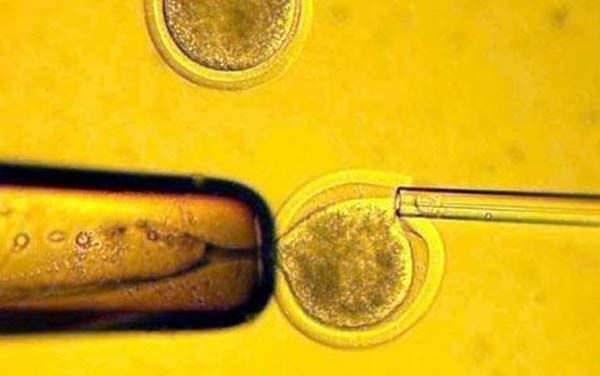 <p>Henrietta Lacks'in Hücreleri (3) </p>

<p>Hücrenin gerektirdiği koşullar (besin vs.) sağlandığı sürece bu hücrelerin ölmemesi, araştırmacılar için büyük bir kapıyı açtı. Hücre örnekleri ilk 4 ay içinde, ABD üzerindeki neredeyse tüm eyaletlere ulaştırıldı. Henrietta Lacks'ın adına, HeLa olarak adlandırılan bu ölümsüz hücre hattı (cell line), günümüzde tüm dünya üzerindeki laboratuvarlarda bulunuyor. Öyle ki, HeLa hücreleri, hücrelerin yerçekimsiz ortamdaki davranışları incelenmek üzere, ilk uzay araştırmaları sırasında uzaya bile gönderildi.</p>
