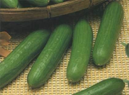 <p>Salatalığın yüzde 96'sı sudur.</p>
<p> </p>