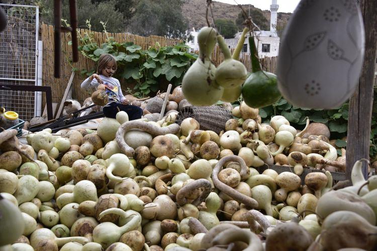 <p>Kabak işlemeciliği Safranbolu'da da önemli bir geçim kaynağı. </p>
