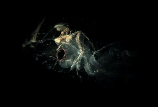   Bir damla sudaki mikropların &ouml;zel bir y&ouml;ntemle g&ouml;r&uuml;nt&uuml;s&uuml; &ccedil;ekildi.