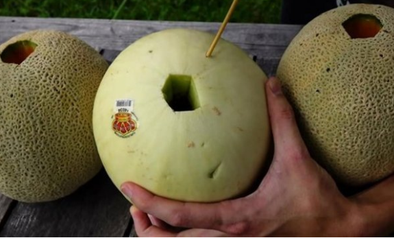 <p>2 farklı &ccedil;eşitte 3 kavun alan meraklı gen&ccedil;, kavunların &uuml;zerinde bir delik a&ccedil;ıyor.</p>

<p>&nbsp;</p>
