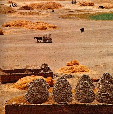 <p>Harran'da bir harman yeri<br />
 </p>
