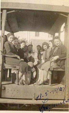 <p>Bir zamanlar Samsun'un Çarşamba ilçesinde ulaşım ve taşımacılık araçları</p>