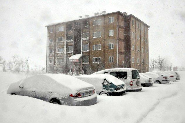 <p>BİTLİS</p>