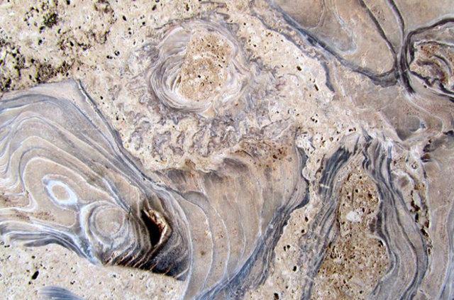 <p>Aksoy, yaptığı a&ccedil;ıklamada, mermerlerin i&ccedil;inde pek &ccedil;ok farklı canlıya ait fosil &ccedil;ıktığını ve bunları incelediklerini s&ouml;yledi.</p>

<p>&nbsp;</p>
