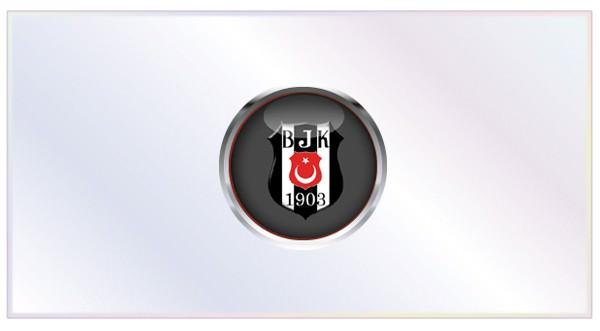 Gelenler: Mehmet Akgün (Gençlerbirliği), Berat Çetinkaya (Sakarya), Oğuzhan Özyakup (Arsenal), Olcay Şahan (Kaiserslautern), Uğur Boral (Samsunspor) Gidenler: Korcan Çelikay (Sivasspor), Aurelio, Rüştü, Bebe, Edu, Sidnei, Ekrem Dağ, Egemen Korkmaz (Fenerbahçe), Ekrem Dağ (Gaziantepspor)