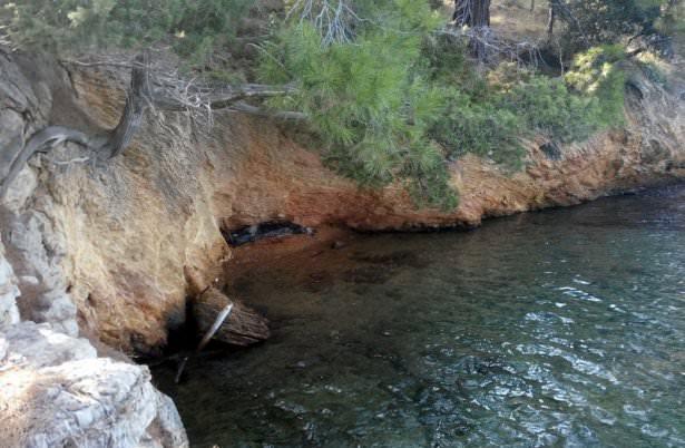 <p><strong>Bodrum'da görüldü! Nesli tehdit altında</strong></p>

<p>Soyu kritik derecede tehdit altında olan tür olarak sınıflandırılan Akdeniz foku Bodrum'da görüldü. </p>
