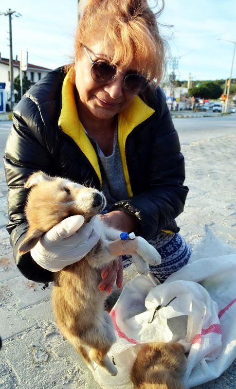 <p>Bugün sabah saatlerinde Güvercinlik Mahallesi'ndeki bir çöp konteynerinden köpek sesi duyanlar, kontrol etti. </p>
