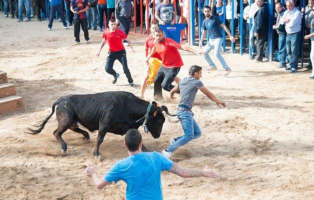 <p>İspanya'nın güneyinde Teulada şehrinde düzenlenen yerel bir festivalde bu korkunç görüntüler kaydedildi.</p>
<p> </p>