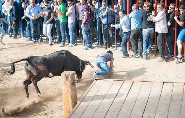 <p>Boğadan kaçmaya çalışan genç adam başarılı olamayınca kızgın boğanın boynuz darbelerine maruz kaldı.</p>
<p> </p>