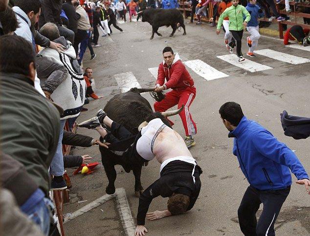 <p>Hayvanseverlerin büyük tepkisi çeken bu kutlamalarda sık sık benzer görüntüler yaşanıyor.</p>

<p> </p>
