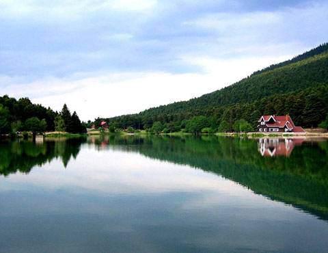 Bolu Boşanma sayısı:   126