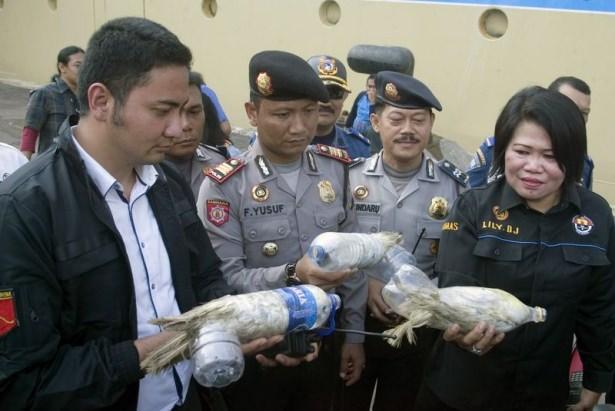 <p>Operasyonda boş su şişeleri içine konularak yasadışı yollardan ticareti yapılan 24 adet kakadu papağanı ele geçirildi. </p>
