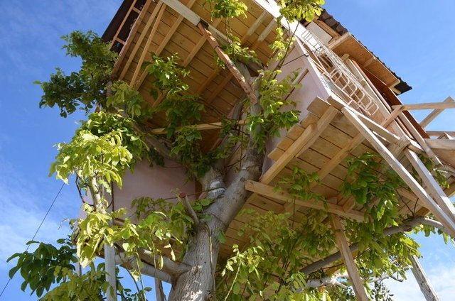 <p>Bahçede daha önce çıkan bir yangında zarar gören ceviz ağacının 5,5 metre yükseğine iki katlı bağ evi inşa eden Seheryıldızı, beslediği hayvanlarını bırakmamak için elektrik ve suyu olmayan evde 2 yıldır yaşamını sürdürüyor.</p>