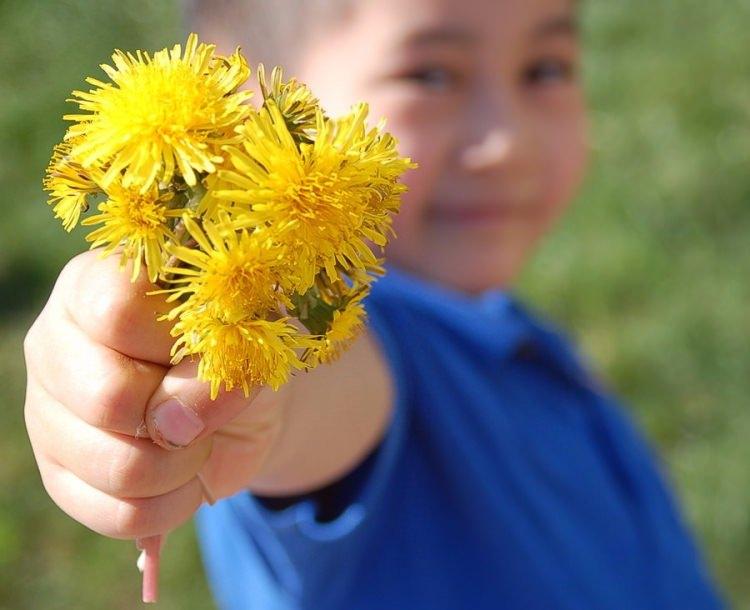 <p>Bu saplar şeker hastalığına da iyi gelebilir. </p>
