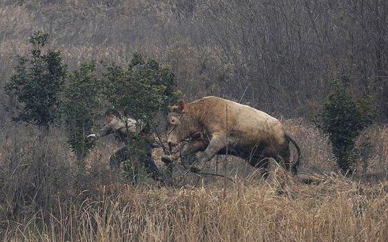 <p>Zor durumda kalan çiftçinin imdadına çevredekiler yetişiyor ve olay yerine polis ekipleri geliyor...</p>

<p> </p>
