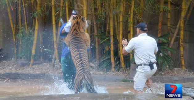 <p>Omzundan ve boynundan ısırılan Styles helikopterle hastaneye kaldırıldı ve yaralı olarak kurtuldu.</p>

<p> </p>
