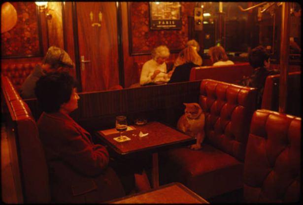 <p>Fransa (Paris), 1988</p>

<p> </p>
