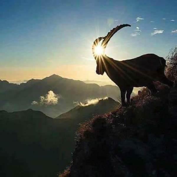 <p><strong>Bu kareleri Mehmetçik çekti</strong></p>

<p>Güvenlik Uzmanı Abdullah Ağar, Hakkari'de görev yapan Mehmetçiğin çektiği fotoğrafları paylaştı.</p>
