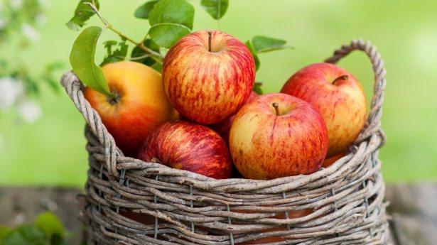 <p>Ancak sadece çürük elma diğer elmaları çürütmüyor, iyi elma da başka meyvelere zarar verebiliyor.<br />
 <br />
 </p>
