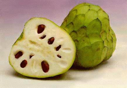 <p><strong>Çerimoya</strong></p>
<p>Güney Amerika'nın serin bölgelerinde yetişen bu meyvenin tadı çilek, papaya, ananas karışımı olarak tarif ediliyor.</p>
