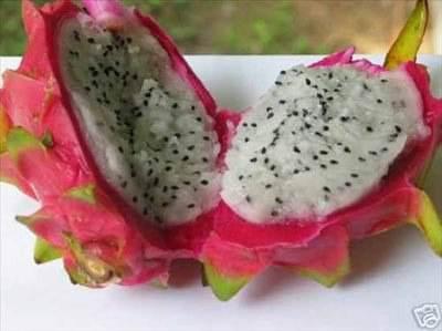 <p>Pitaya-Ejderha Meyvesi: Ejderha meyvesi olarak da bilinen meyve, Asya, Avustralya, Kuzey ve Güney Amerika'da yetişir. Kaktüs meyvesidir. İki çeşit pitaya vardır, ekşi olanı Amerika taraflarında bulunurken, tatlı olanı Asya'da bulunur. Kırmızı, sarı ve bir de Kosta Rika pitayaları vardır. Kırmızı pitayaların içi sarıdır. Sarı pitayanın içi de dışı da sarıdır. Kosta Rika pitayaların içi ve dışı pembemsi kırmızıdır. Kokusu çok güzel ve tadı kiviyi andırır.</p>
<p> </p>