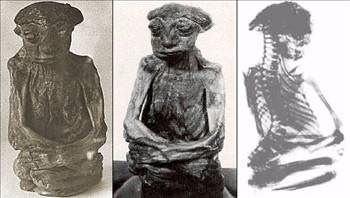 <p>1932 yılında Pedro Dağlarında bulunmuş bir mumya. (ABD ,Wyoming eyaleti , Casper şehrinin 60 mil güney batısı). Mumya koyu bronz renginde ve oldukça buruşmuş vaziyettedir. Hayattayken boyu 35 santimetreyi geçmiyordu! Röntgen ışınlarıyla yapılan incelemede bu canlının ağırlığının 5.5 kg. olduğu ortaya çıktı. Cinsiyeti erkekti ve bütün dişleri tamdı. Öldüğünde aşağı yukarı 65 yaşında idi. Mumya 350 gr. ağırığındadır. Alnı çok aşağıdadır. Ezik bir burnu ile büyük ve geniş burun delikleri vardır. Çok geniş ağzı ile incecik dudakları bulunmaktadır. Bu yaratık bilinen insan türlerinden çok daha küçüktü. Bazı araştırmacılara göre bu çok küçük boyutlarda olan bir ırkın üyesiydi.</p>

<p> </p>
