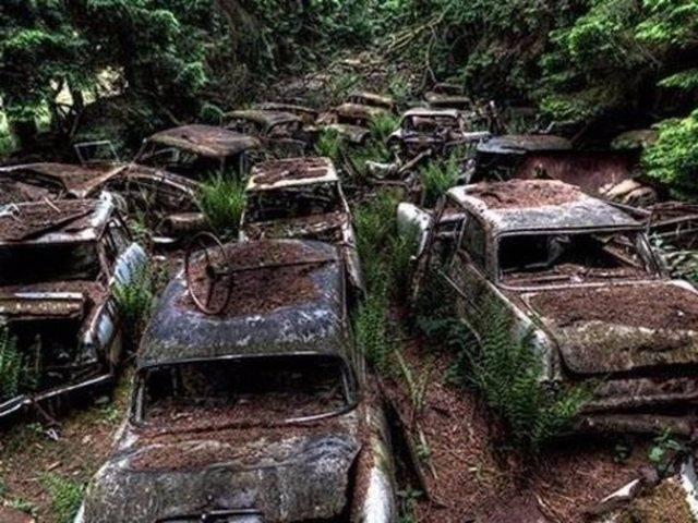 <p>Dünyanın en büyük araba mezarlığı listesinde yer alabilecek potansiyele sahip, ormanın içinde çürümeye terk edilmiş bu arabalar Belçika'nın Chatillon köyünde bulunuyor.</p>

<p> </p>
