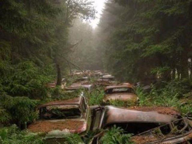 <p>Bir şehir efsanesine göre 2. Dünya savaşında ABD askerleri bu arabaları ormanlar arasına saklayıp ilerleyen dönemlerde gelip geri almayı planlamışlar fakat ne yazık ki bu olmamış.</p>

<p> </p>
