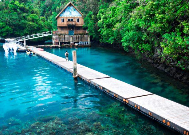 <p><strong>Palau</strong><br />
<br />
ABD’nin altında yarı bağımsız bir devlet olan Palau, saldırı ya da savaş hallerinde Washington’ın koruması altında. İki ülke arasındaki bu ilişkinin geçmişi 1983’te imzalanan Serbest Birliktelik Sözleşmesi’ne kadar gidiyor.</p>