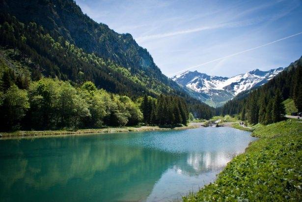 <p><strong>Liechtenstein</strong><br />
<br />
Bugün ülke içinde güvenliği sağlamak adına bir polis kuvveti oluşturulmuş durumda.</p>
