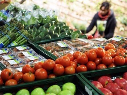 <p>* Gıdanın hangi koşullarda muhafaza edilmesi gerektiği ile ilgili uyarılara dikkat etmeliyiz.</p>
