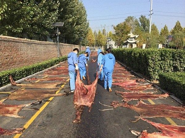 <p>Şirketin yanına kurulan eşek çiftliğindeki katliamın, olaya tanık olan vatandaşların polise haber vermesi üzerine deşifre oldu.</p>
<p> </p>