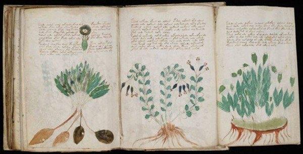 <p>Voynich Yazıtları<br />
Voynich yazıtları, günümüzde hala çözülemeyen bir sır. 2014 Yılında iki farklı grup sırrı çözmeye çalışsa da, yine de başaramadı.</p>
