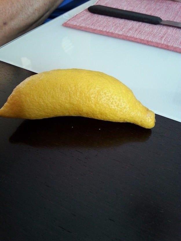 <p>Muz olmak için canını dişine takan limon.</p>