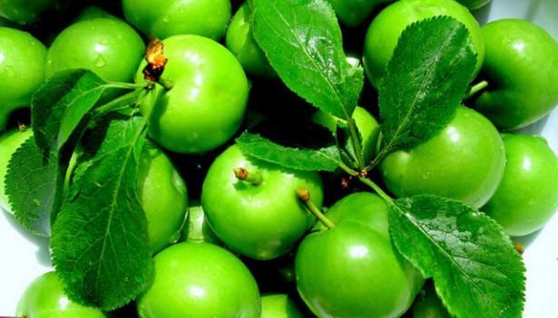 <p><strong>Erik:</strong> Yüksek antioksidan kapasitesi yanında detoks yapıcı gücüyle de önemli bir anti-aging besindir.</p>
