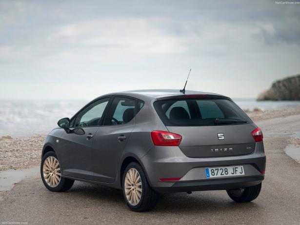 <p>Seat 1.2 TSI 90 HP</p>
