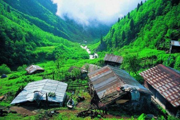 <p>Rize    <br />
174.293 kişi </p>
