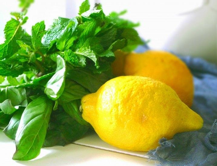 <p>İki limon türüde C vitamini kaynağıdır. </p>