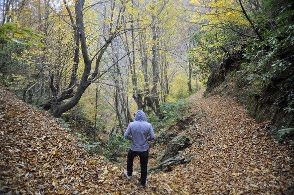 <div>Köy pazarında sabah sağılıp tezgâhlarda yerini alan süte, peynire ve tereyağına kadar her şey var. Yayık ayranının tadı harika. (2 TL.) Bir de ‘Sündüz’ün Yeri’nde mancarlı pidenin tadına bakmalısınız. (5 TL.) Pazarın yakınlarında Atatürk’ün yaptırdığı Orhan Gazi okulu yer alıyor. Zamanında Rıfat Ilgaz öğretmenlik yapmış. Görülesi bir okul, sakın es geçmeyin. Otel Akçakoca’da kahvaltı ve SPA dâhil konaklama ücreti 270 TL. (0380) 611 45 25</div>

<div> </div>
