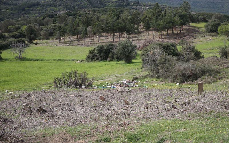 <p>"Bugünkü Beşyol köyünde Tekir Tepe'nin arkasında yer alan ve yeni ortaya çıkarılan bu şehitlik alanında, bir Hastane ve bir 16. Kolordu Komutanlığı'nın karargahı vardı. Bu karargahın ve hastanenin hemen yanında özellikle 2'nci Anafartalar Muharebesi ve Kireçtepe Muharebesi'nde yaralanan hastaneye getirilen ve burada hayatını kaybeden askerlerin defnedildiği bir şehitlik vardır. İkinci Anafartalar Muharebesi'nde ön saflarda savaşan 12'nci Tümen'in 34, 35 ve 36'ncı alayları, Kireçtepe bölgesinde o sırada 5'inci Tümen'e bağlanan 19, 39, 126 ve 127'nci alayın askerlerinden yaralananlar Beşyol'daki bu hastaneye getirilmiştir. Bu askerlerden şehit olanlar, burada defnedilmiştir."</p>
<p> </p>