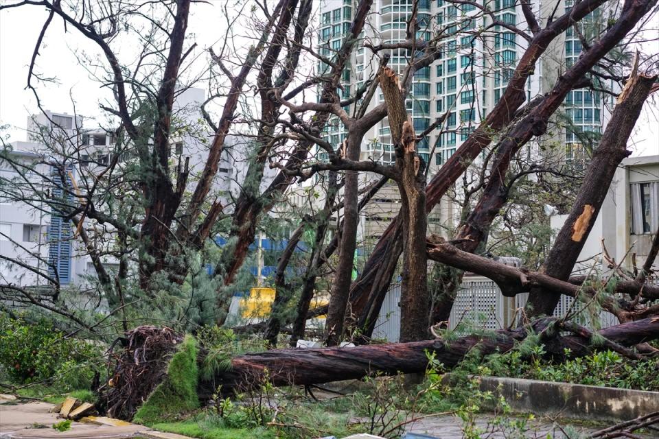 <p>Son 24 saatte tropik fırtınadan en yüksek seviye kategori 5'e çıkan ve Karayipler üzerinden geçerek Porto Riko ile ABD'nin Virgin Adaları istikametinde ilerleyen Maria kasırgası öncesinde, Porto Riko'da metal çatıların uçtuğu, camların kırıldığı ve yaklaşık 900 bin kişinin elektriksiz kaldığı, bir ağacın ambulansın üzerine düştüğü bildirildi.</p>
