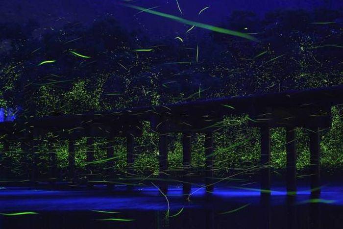 <p>53- Shimanto River</p>
