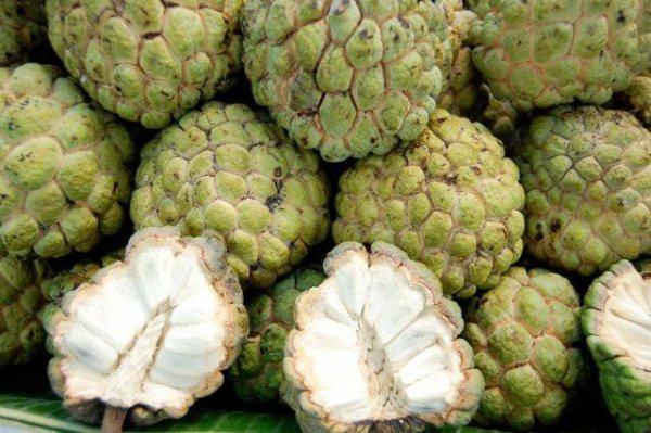 <p>6- Hazmı kolaylaştırarak, vücudun toksinleri atmasına yardımcı olur.</p>