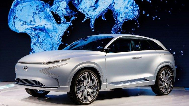 <p>Hyundai FE Fuel Cell</p>
