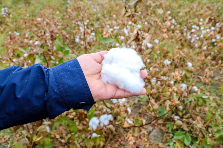 <p>Karadeniz, çiftçinin desteklenmesi gerektiğini vurguladı.</p>
