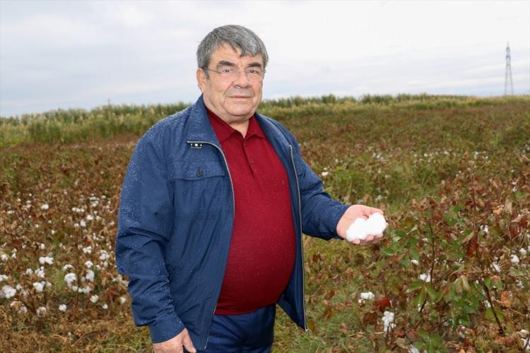 <p>2017 yılında daha geniş arazilerde ekim yapılacak. Pamuk ekimi yaygınlaşacak. Biz dünyanın birçok yerinde bu işin öncülüğünü yaptık. </p>
