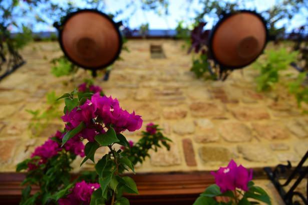 <p>Valilik, Antalya B&uuml;y&uuml;kşehir Belediyesi, EXPO 2016 Antalya Ajansı, İl K&uuml;lt&uuml;r ve Turizm M&uuml;d&uuml;rl&uuml;ğ&uuml;, Orta Anadolu S&uuml;s Bitkileri ve Mamulleri İhracat&ccedil;ıları Birliği, Peyzaj Mimarları Odası başta olmak &uuml;zere bir&ccedil;ok kurum ve sivil toplum kuruluşunca desteklenen projede son aşamaya gelindi.</p>
